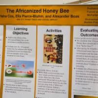 A student project poster on display about honey bees.